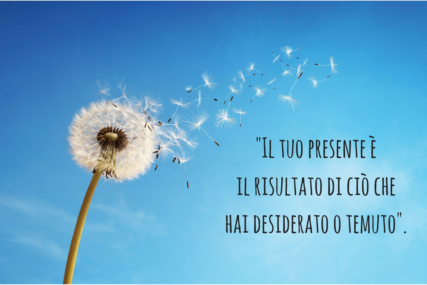 Legge dell’attrazione: cosa c’è di vero?